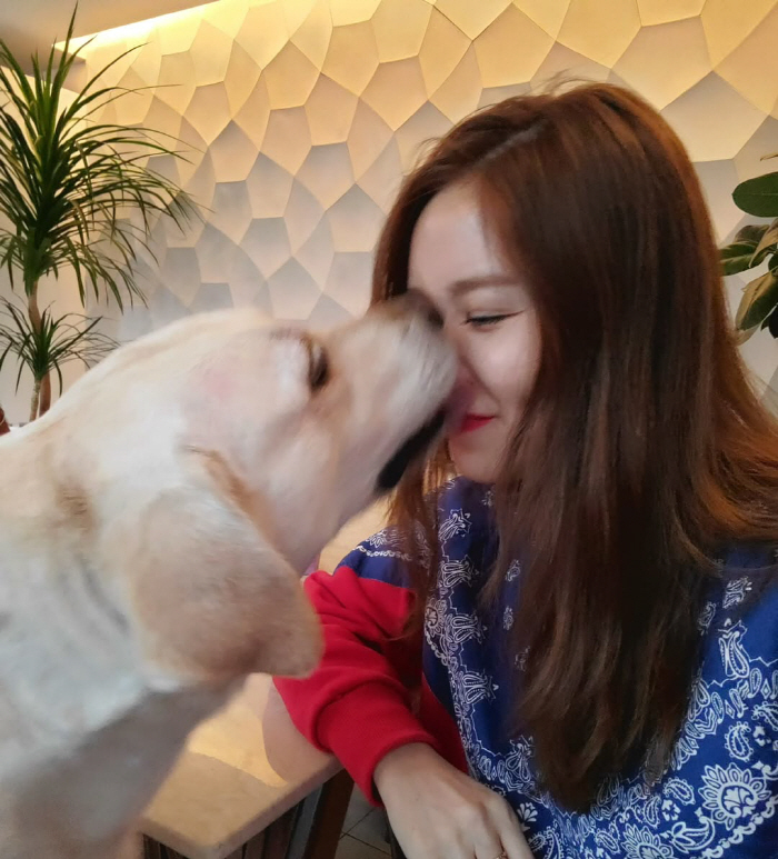 채리나, 안타까운 소식 전했다..."박영순, 좋아하는 꽃과 예쁘게 보내줘…