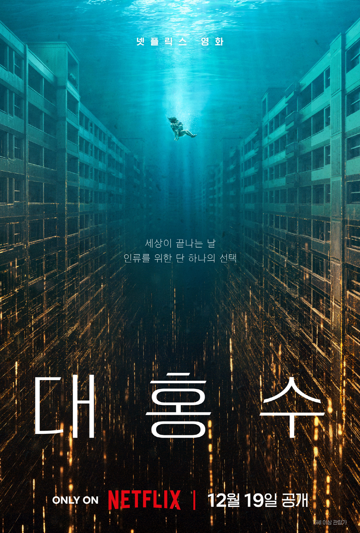 김다미X박해수 주연·'전독시' 감독 신작 '대홍수' 12월 19일 넷플릭…