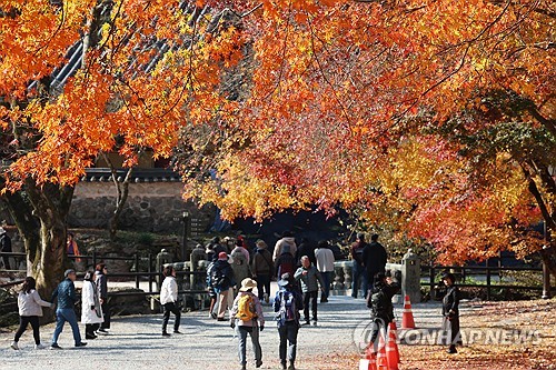 가을철 기온 상승, 야외 도시락 식중독 위험 커진다