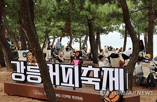올해는 물 건너간 커피 향…'최악 가뭄'에 강릉커피축제 취소