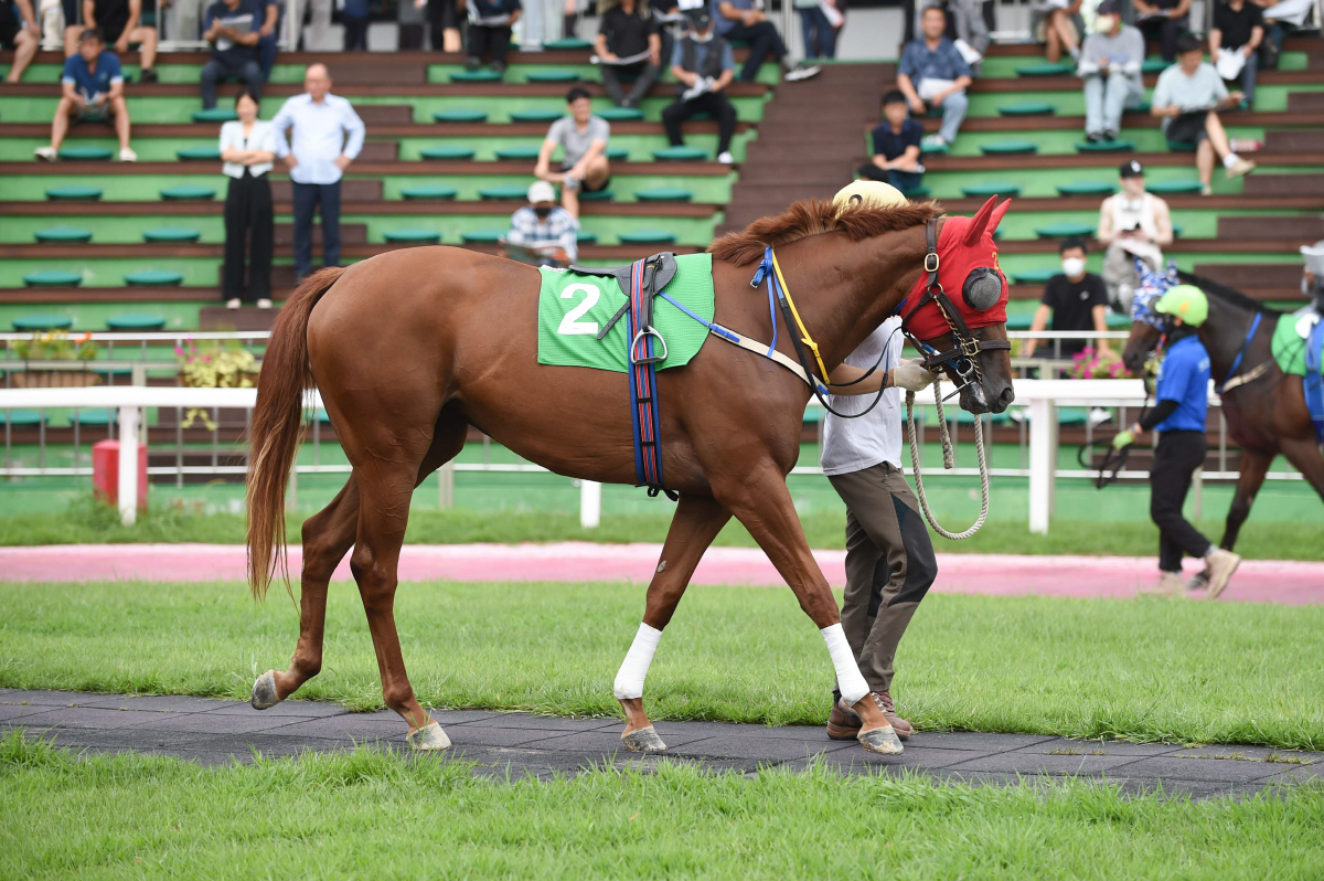 [경마]'국산 2세 최고마' 가릴 쥬버나일 시리즈 1관문, 승자는