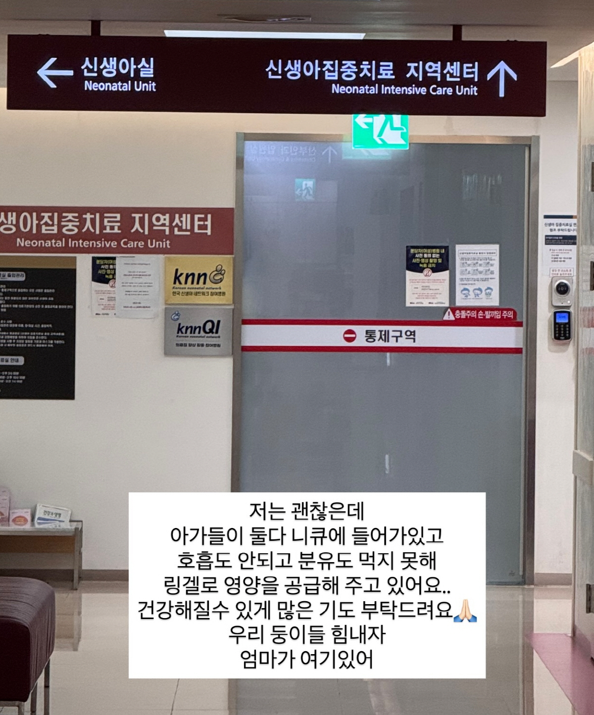 김지혜, 6년 난임 끝 만난 쌍둥이 중환자실行 "호흡 안 되고 분유도 못…