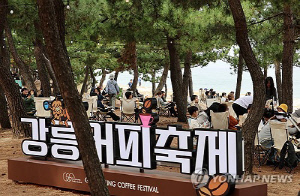 극심한 가뭄 여파…강릉시, 누들 축제·커피 축제 취소