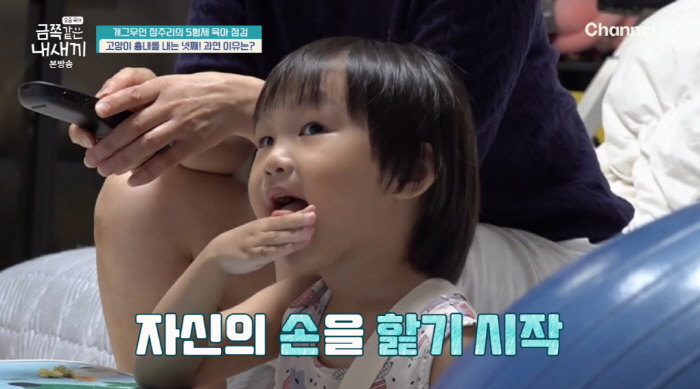 정주리 4세 넷째子, 손 핥고 형에 발길질 '충격 행동'..."동생 태어…
