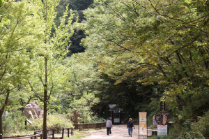 [르포] 산불 할퀴고 간 청송 주왕산…