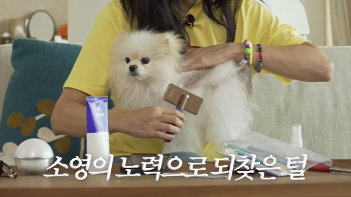 고소영, 포기했던 5살 반려견 상태 고백..."4년동안 90% 이상 탈모…