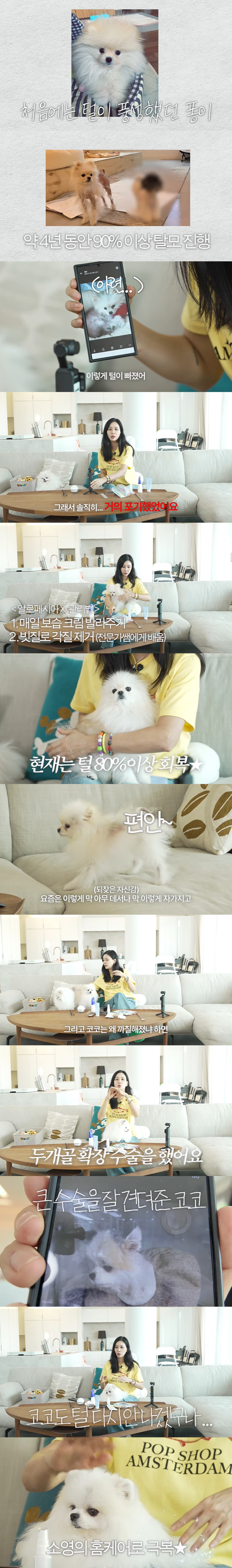 고소영, 포기했던 5살 반려견 상태 고백..."4년동안 90% 이상 탈모…