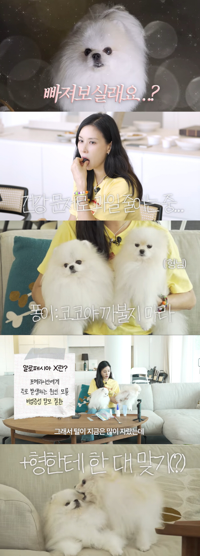 '장동건♥' 고소영, 입양에 큰 마음 먹었다..."아들·딸이 먼저 원했다가 내가 덜컥"