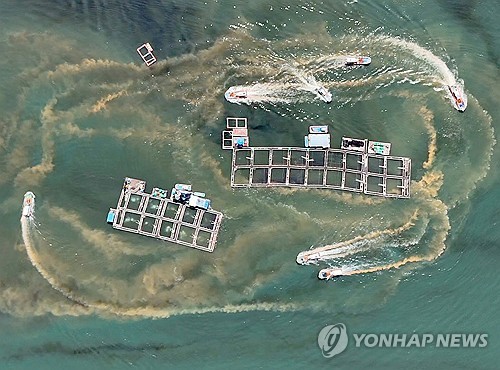 수온 내려가자 경남 연안 유해성 적조 주춤…어류 폐사량도 감소