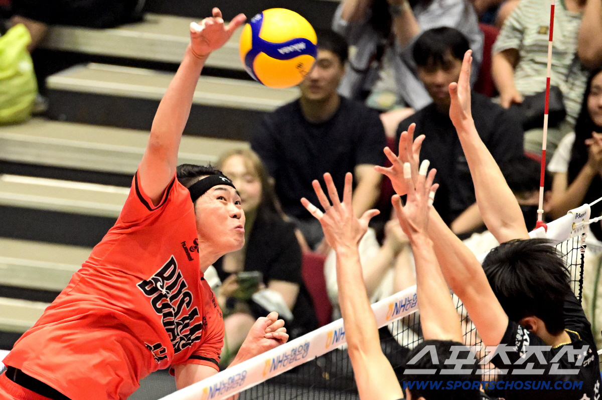 [속보]새벽에 FIVB 조건부 승인받았다. 취소결정 KOVO컵 남자부 다…