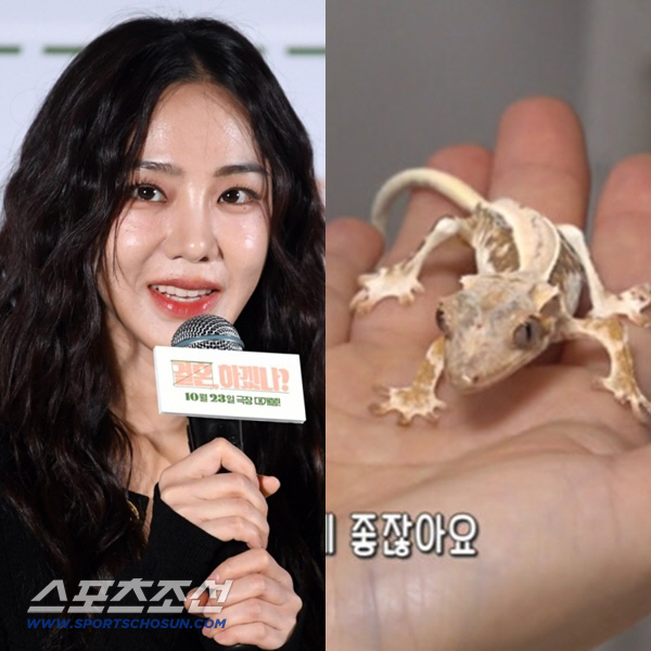 한지은, 동물학대 논란...뼈밖에 없는 도마뱀 충격적 상태 "폐사 직전"