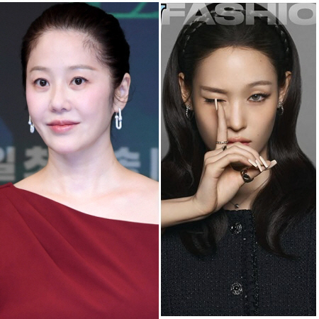 고현정 '신세계家 언급' 부담됐나..전남편 조카 애니 '좋아요' 결국 취…
