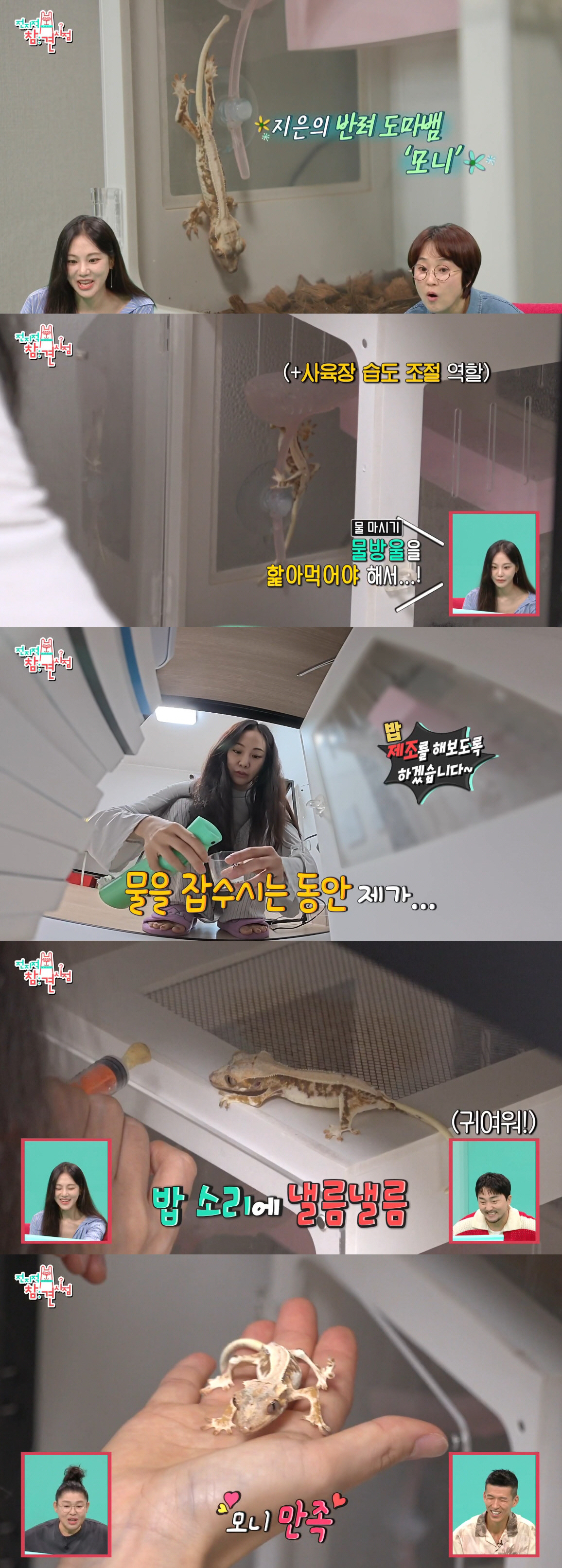 한지은 측, '반려 도마뱀 학대' 의혹 해명 "건강 문제 없이 잘 지내"…