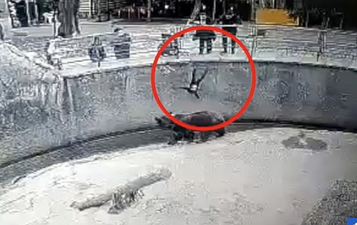 3살 딸, 곰 우리에 던졌던 엄마…3년 후 흉기로 딸 살해 '충격'