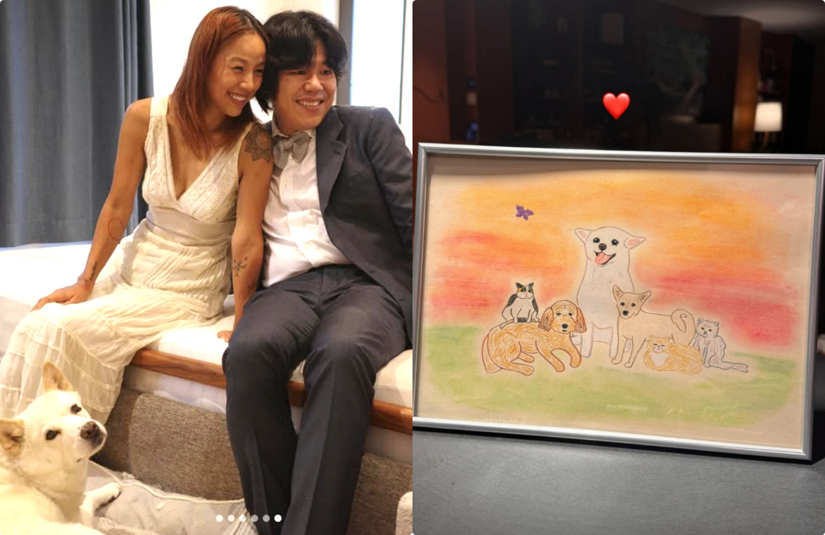 이효리♥이상순, 떠나보낸 반려동물 추억..순심이→미미 '그리움 가득'