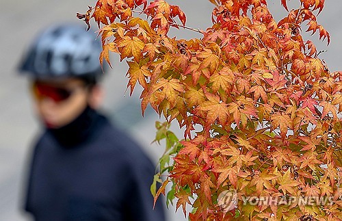 충북 대체로 흐림…낮 최고 26도