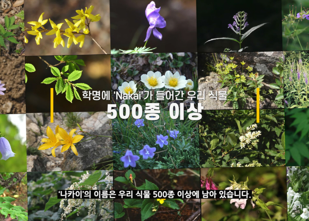 이수지, 또 일냈다…서경덕 교수와 식물주권 캠페인 영상 의기투합