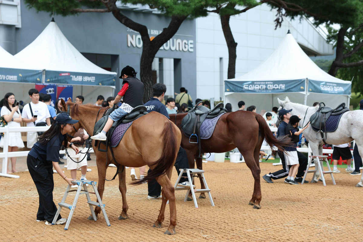 [경마]마사회, 19~20일 과천시민공원서 '도심승마축제' 개최