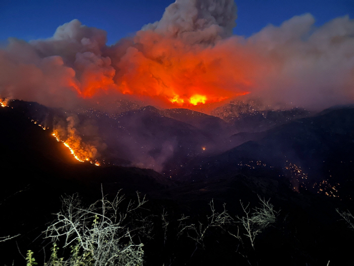 "산불 연기 속 초미세먼지 등 유해물질, 건강에 악영향…전세계 조기 사망자 연간 140만명에 이를 것"