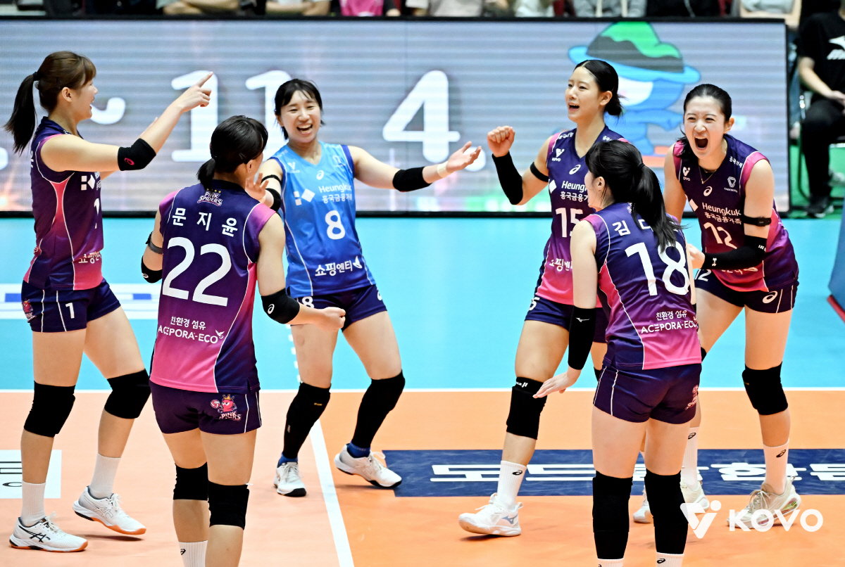 김연경 없으니 '꼴찌 싸움'하겠네.. 흥국생명 초비상 → 리시브 불안이 …