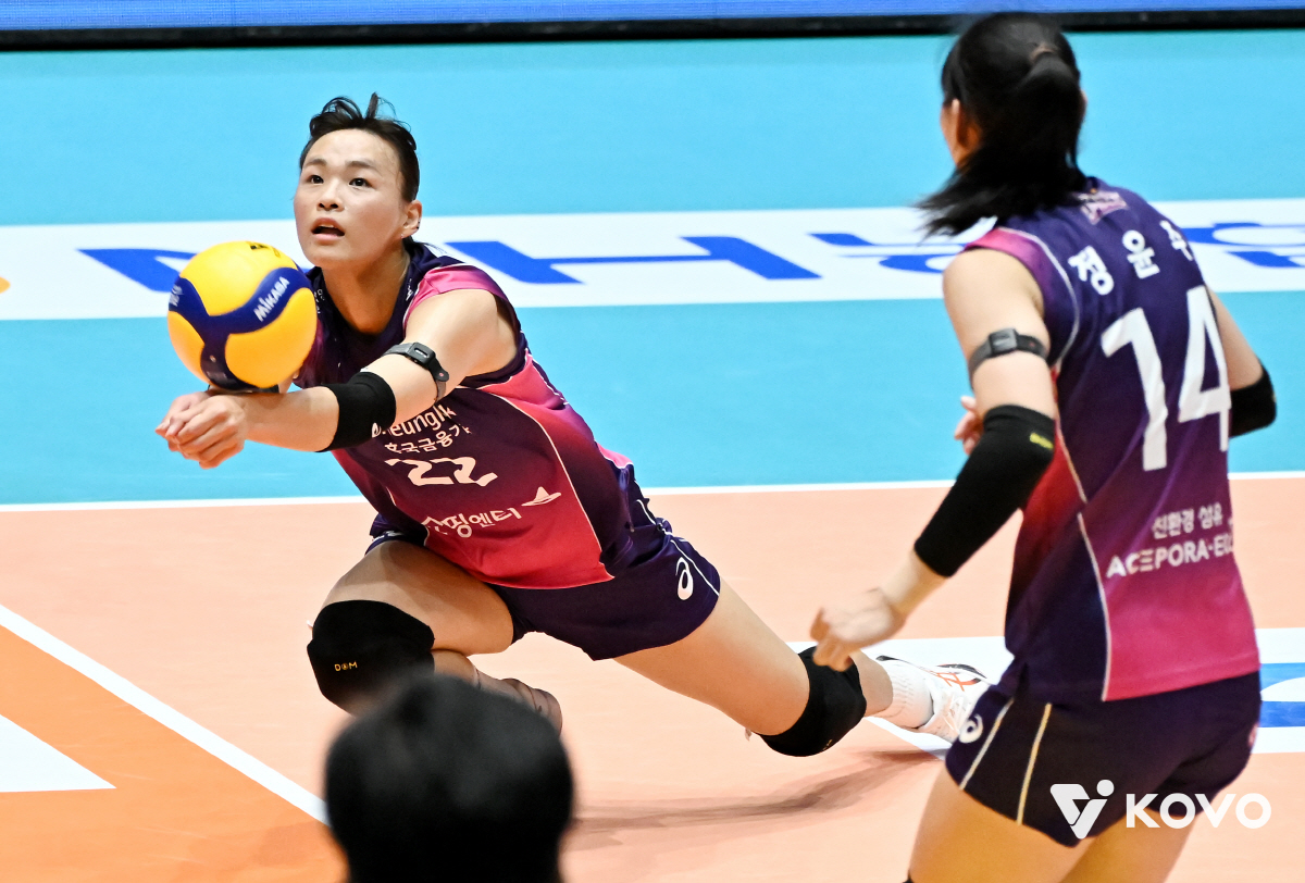 김연경 없으니 '꼴찌 싸움'하겠네.. 흥국생명 초비상 → 리시브 불안이 …