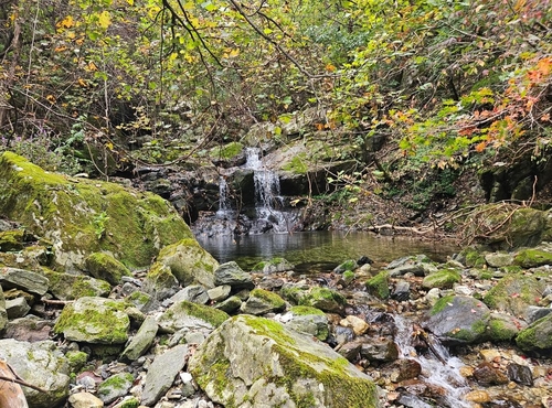 동해시, 소금길 1코스 정비 완료…"가을 산행 오세요"