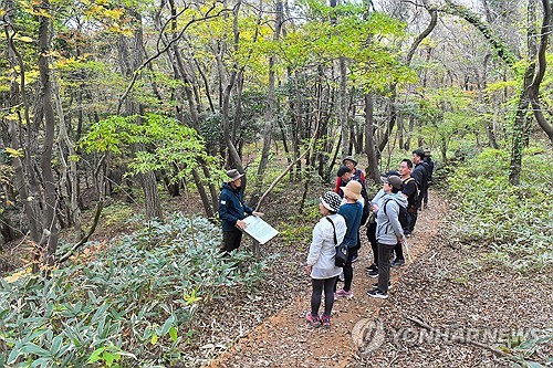 제주 삼다수숲길서 26∼28일 교래삼다수마을 지질트레일