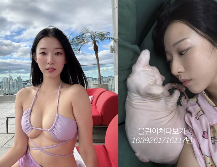 故 설리도 안심하겠네…김선아, 반려묘 고블린과 뭉클한 일상[SCin스타]