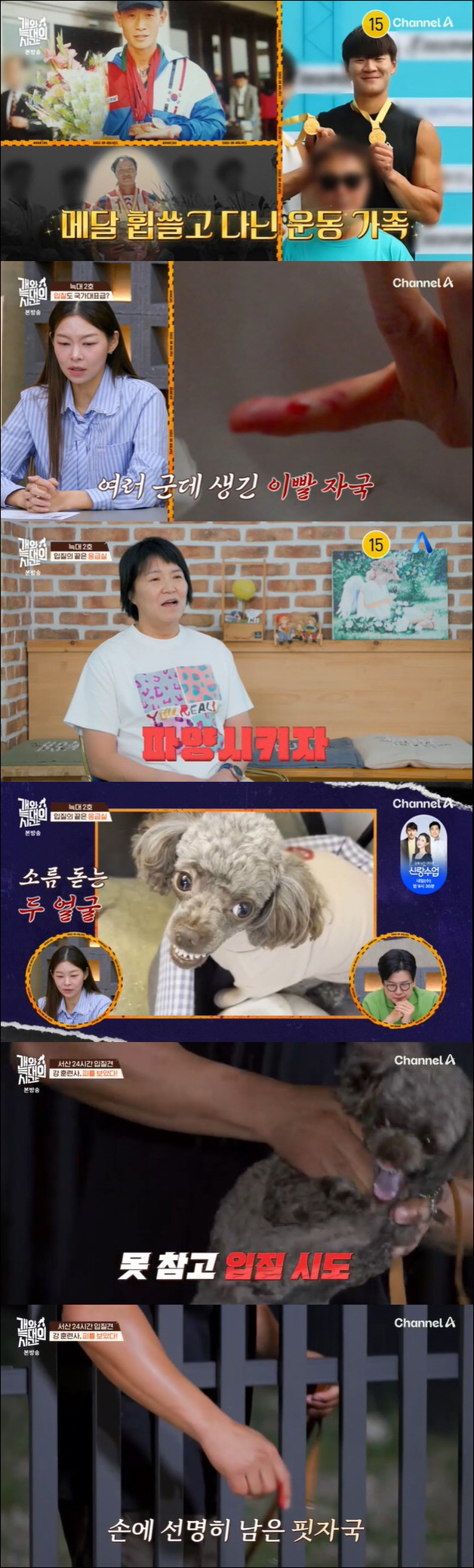 강형욱, 개물림 사고 당했다…손에 피가 철철 "안락사 시켜야 하나" ('…