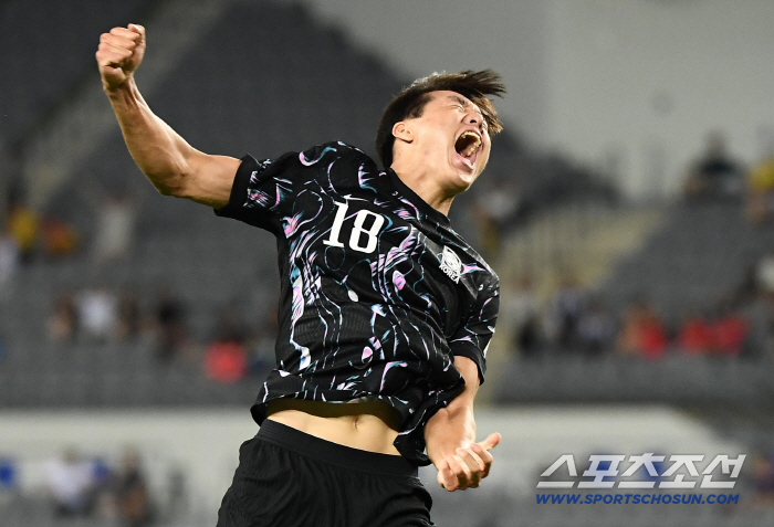 '인간 승리' 조규성, '붙박이' 오세훈, 'K리그 특급' 이호재....그리고 '손흥민', 홍명보 감독의 최전방 고민