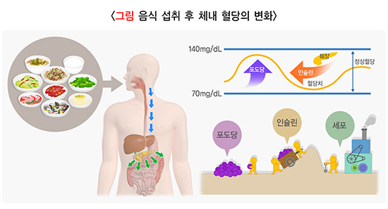 2030세대 '혈당 관리' 보편화…일상 속 혈당 건강 음료 등 각광