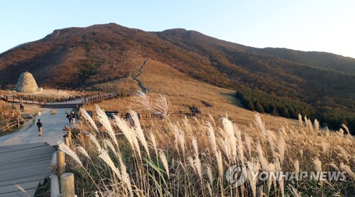 억새평원 배경 가을음악회 '울주오디세이' 내달 3일 개최