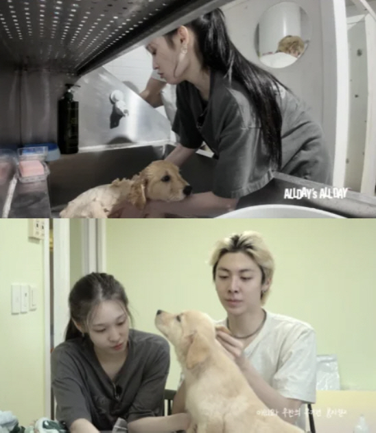 '신세계 장녀' 올데프 애니, 민낯 유기견 봉사활동…"데뷔 전부터"[SC…