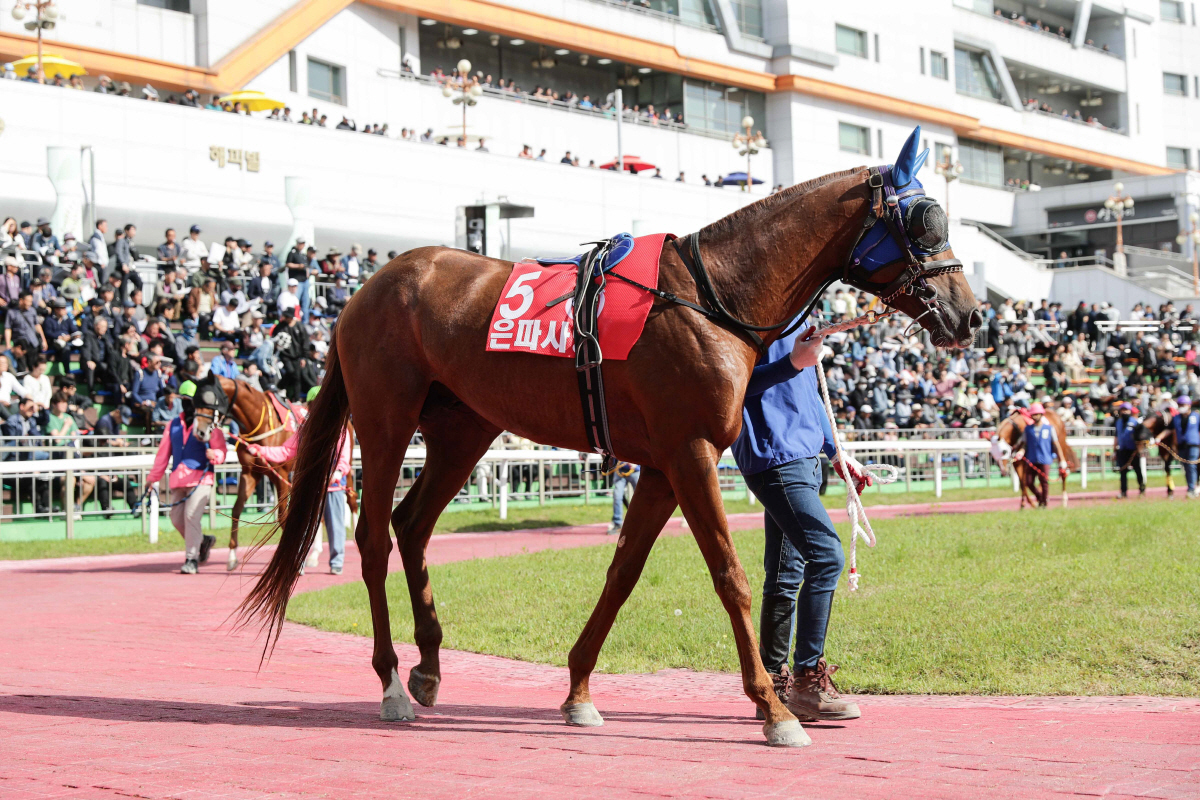 [경마]가을 수놓을 1800m 장거리 명승부, 승자는?