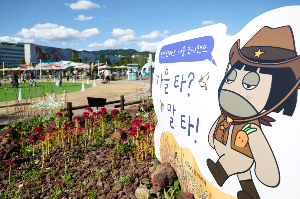[경마]'가을 타? 말 타!' 렛츠런 서울, 포니랜드에서 만나는 이색 말…