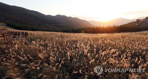 울주 관광명소 10경에 카페 연계 '울주 카페투어' 지도 제작