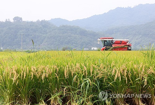 쓰쓰가무시증 등 진드기 감염병 환자 80%가 60세 이상 고령