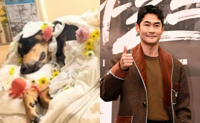 “하늘의 별 됐다” 배정남, 반려견 벨 떠나보내며 전한 마지막 편지[SCIn스타]