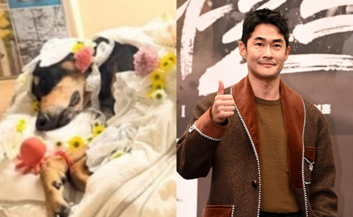 “하늘의 별 됐다” 배정남, 반려견 벨 떠나보내며 전한 마지막 편지[SC…