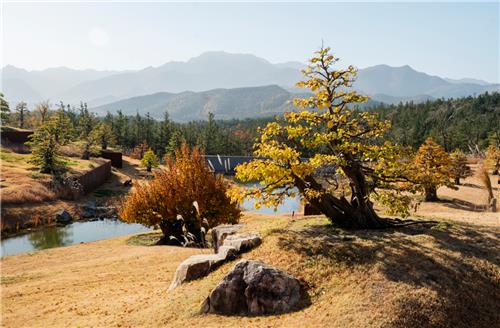 [여행소식] 사색·체험·낭만·미식…추석엔 가을빛 물든 국내 여행지로