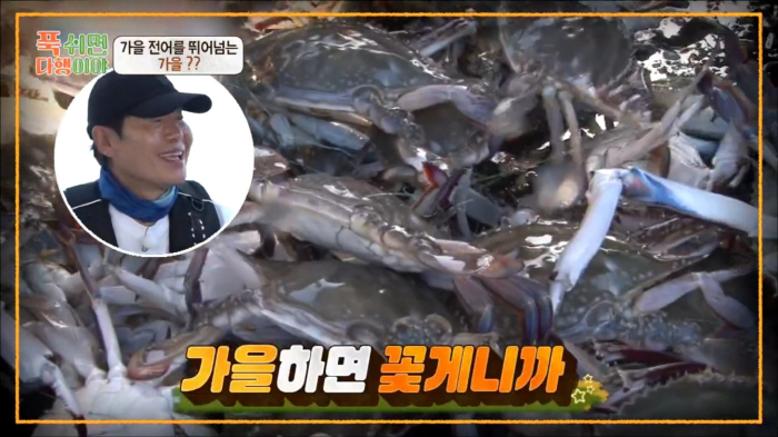 '푹다행' 이연복 웃게한 가을 꽃게…다이어트에 좋은 이유는?