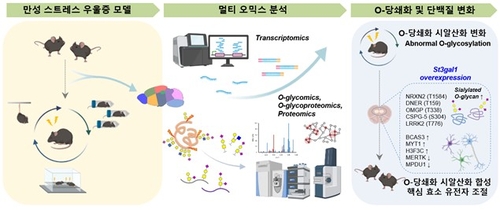 만성 스트레스가 단백질의 당쇄화 형태 바꿔 우울증 일으킨다