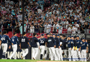 '이번에도 전문가 예측 틀렸다' 3.5%를 100%로 만든 기적에는 감동이 있다