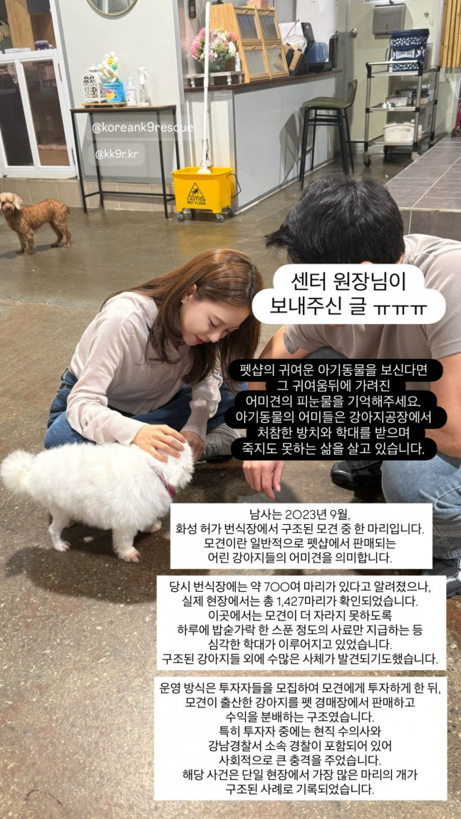 '이혼→66억 집 매입' 아옳이, 새끼 50마리 낳은 번식장 구조견 입양…