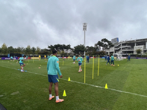 '삼바축구' 브라질, 10일 홍명보호와 대결 앞두고 '우중 담금질'
