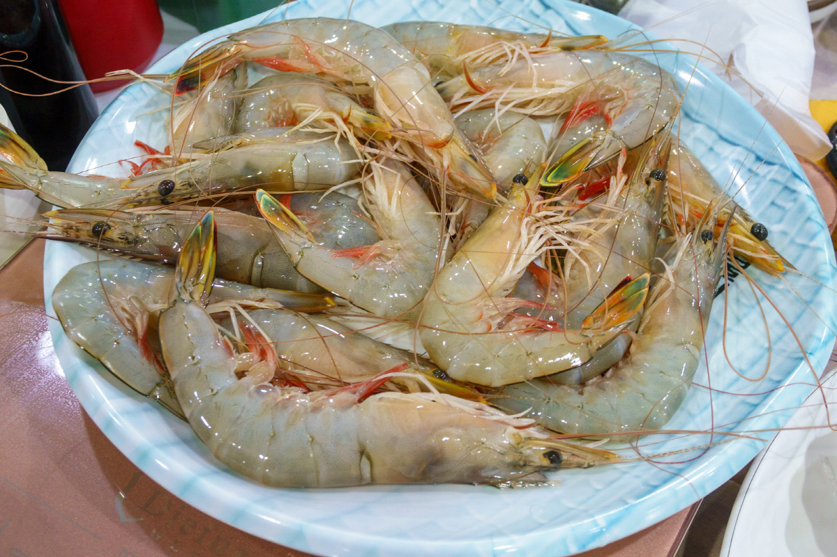 붉게 익은 맛있는 시간 '태안'…같이 느끼는 가치 여행의 진수도 만끽