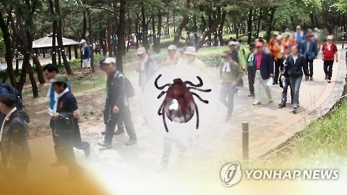 광주서 쯔쯔가무시증 10∼11월 80％ 발생 '주의보'