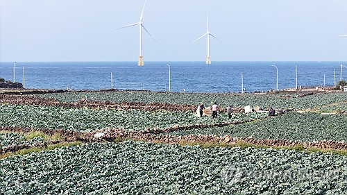 제주, 농산물 가격 하락 시 차액 보존제 참여 농가 접수