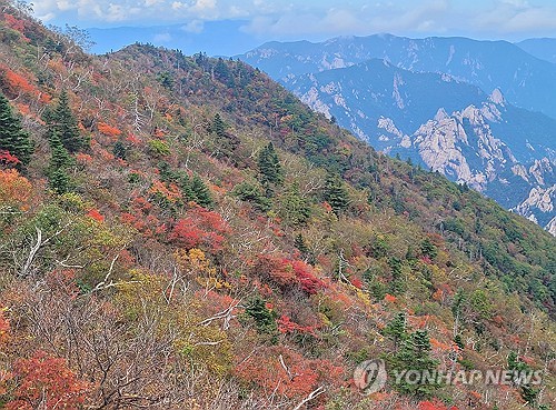 단풍에 빠져드는 가을산행…등산사고 연중최다 "주의필요"