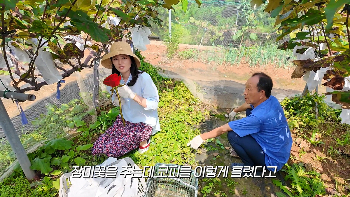 한가인, 사랑꾼 형부에 사돈어른까지→가족 공개 완전판…♥연정훈父 연규진은…